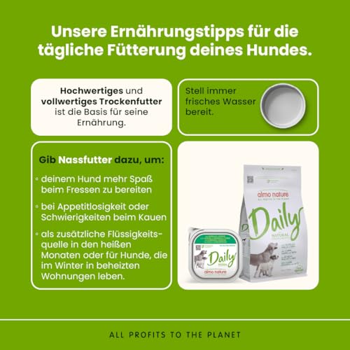 Almo Nature Daily Hundenassfutter Lamm 9x300g glutenfrei