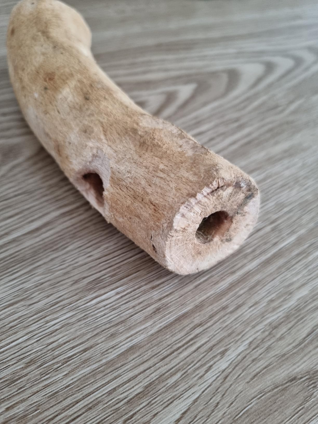 Dehner Premium Nagewurzel gefüllt Buche Kräuter 80g Snack