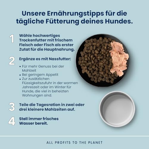 Almo Nature Life Maintenance L Trockenfutter Lachs 12 kg