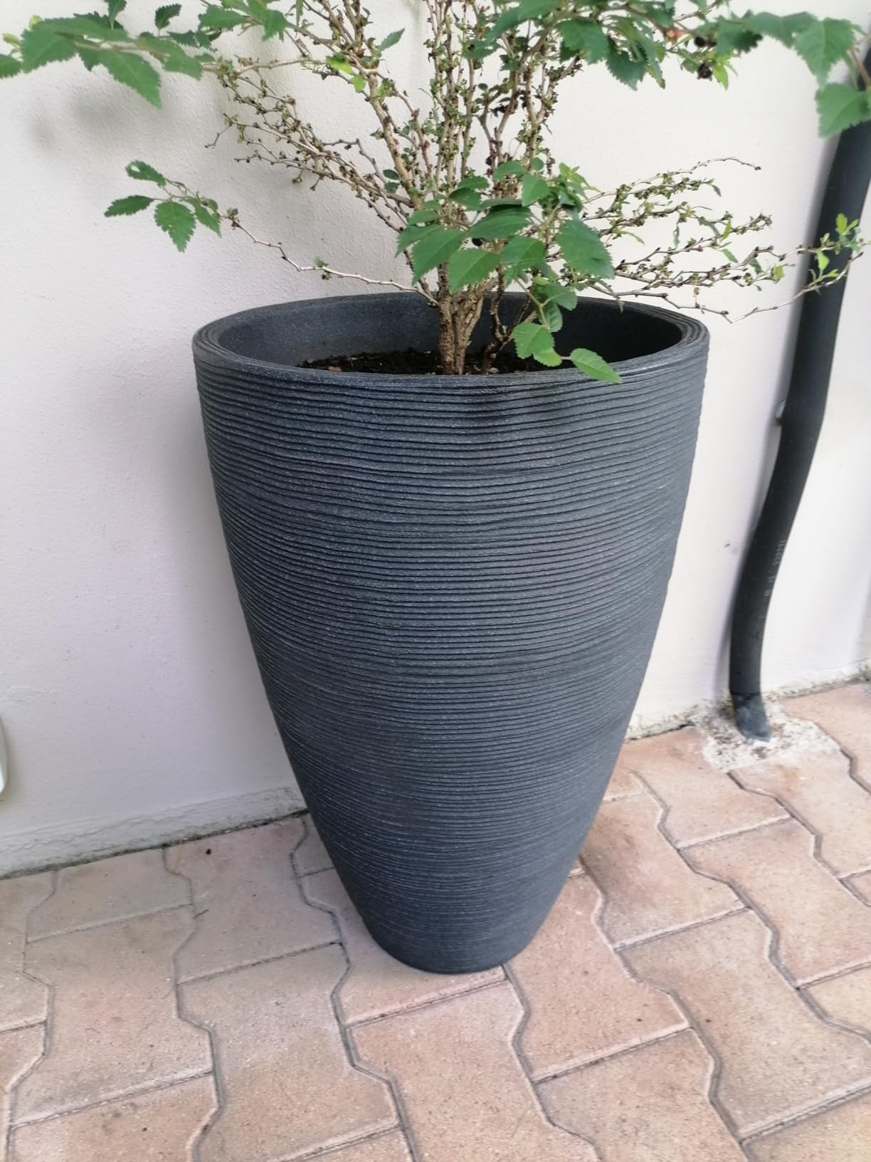 Dehner Vino Pflanzvase Ø40x60 cm anthrazit frostbeständig