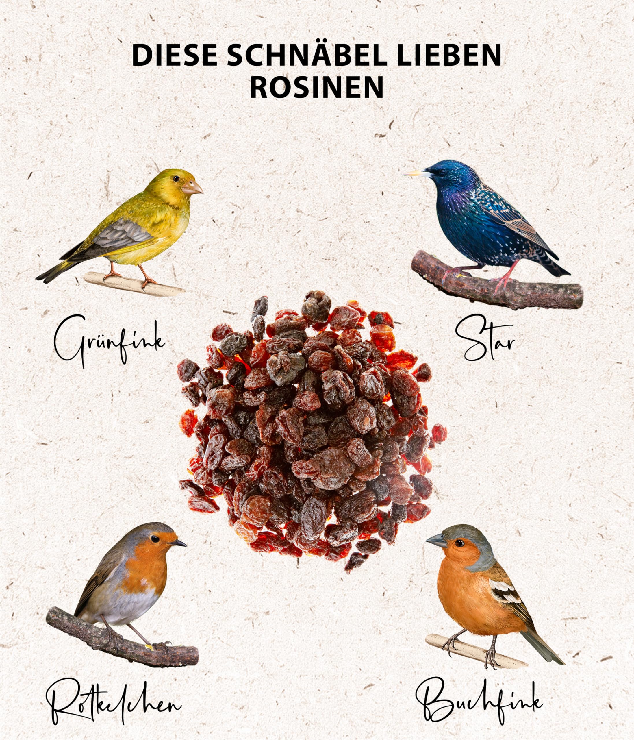 Dehner Natura Wildvogelfutter Rosinen 5 kg ungeschwefelt