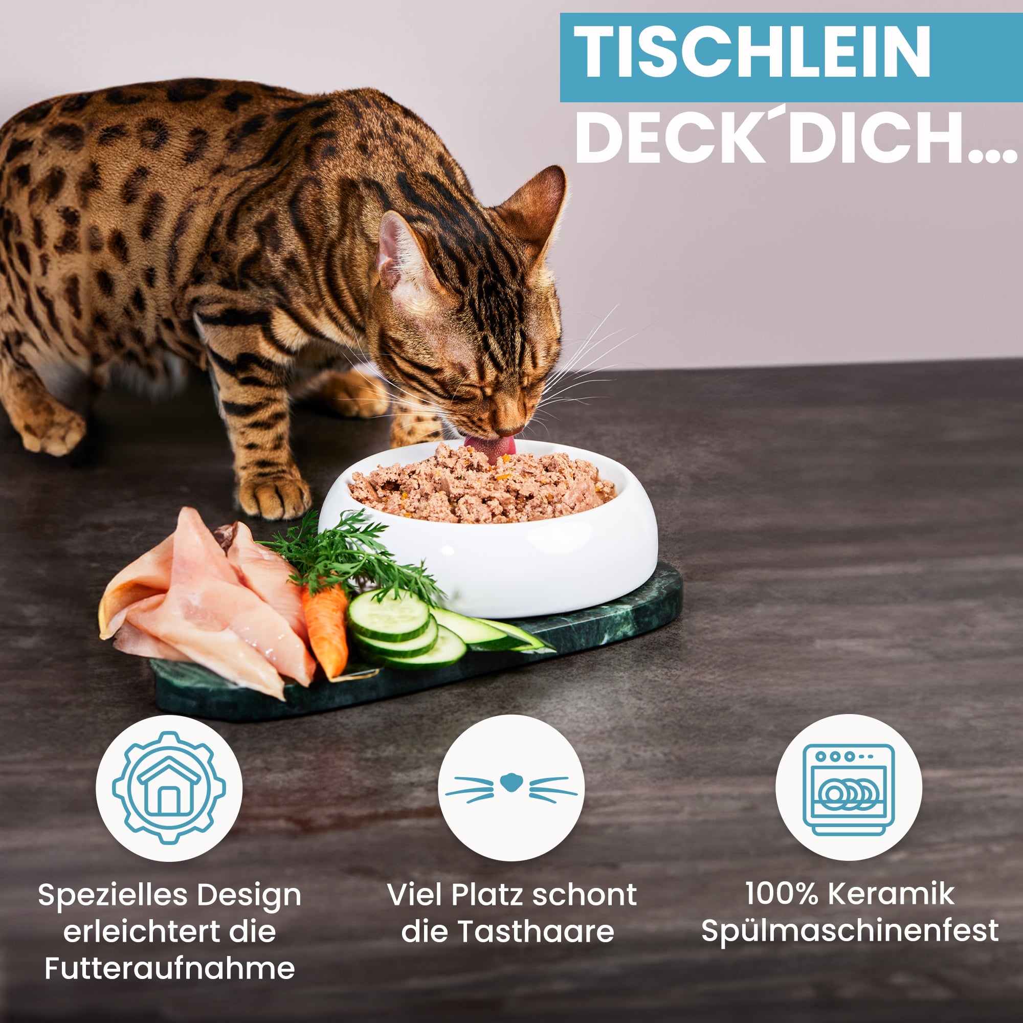 Lucky-Kitty Unsere Bestseller Set Brunnen Napf Futter 7-teilig