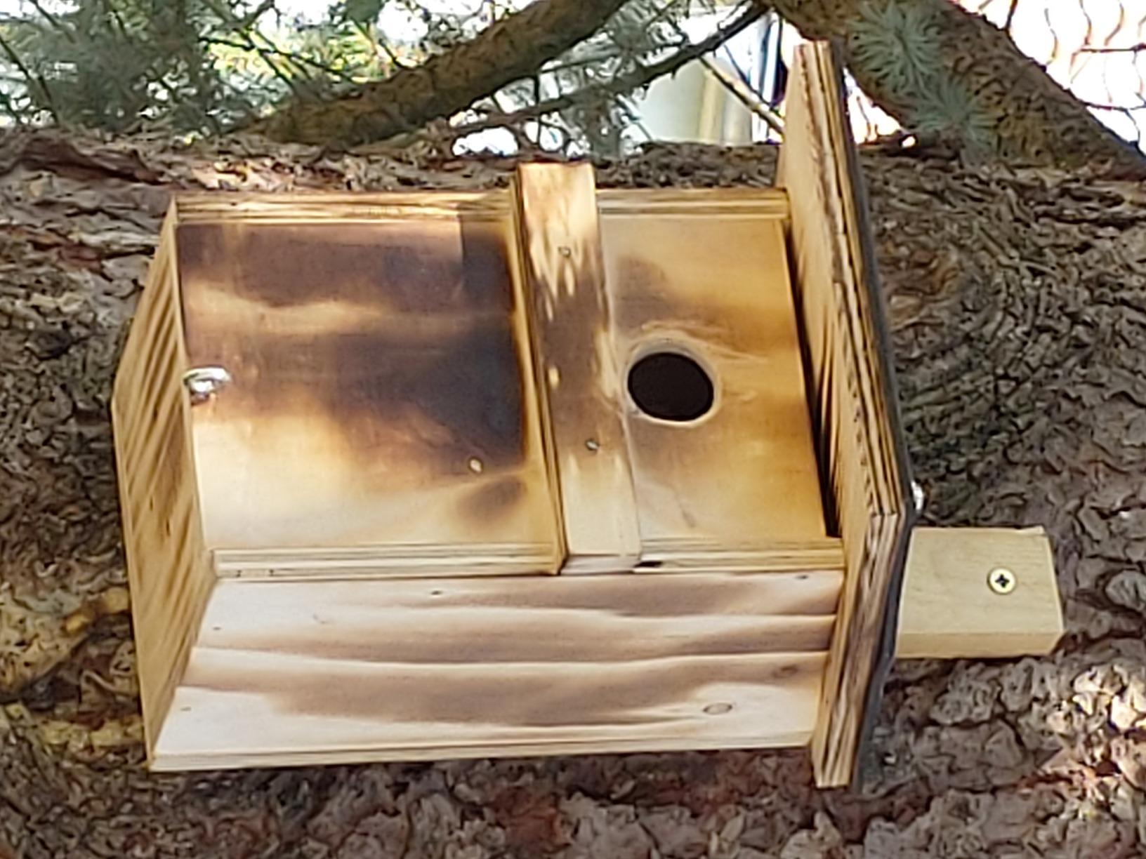 Dehner Natura Nistkasten Holz 28mm braun Meisenkasten