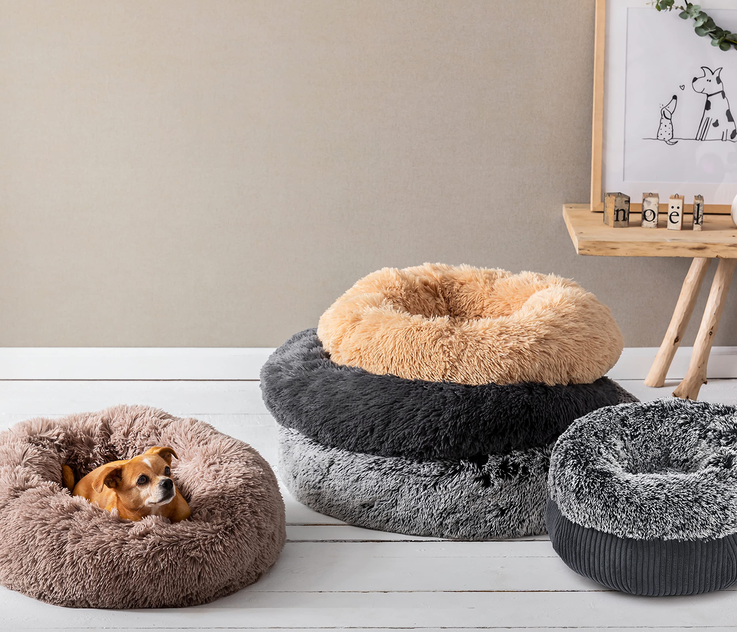 Dehner Lieblinge Cookie Hundebett L dunkelgrau Plüsch