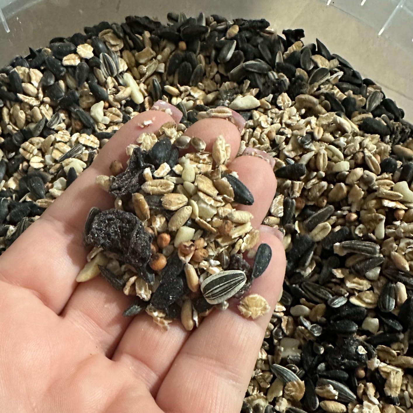 Dehner Natura Wildvogelfutter Streufutter 3kg Ganzjahr
