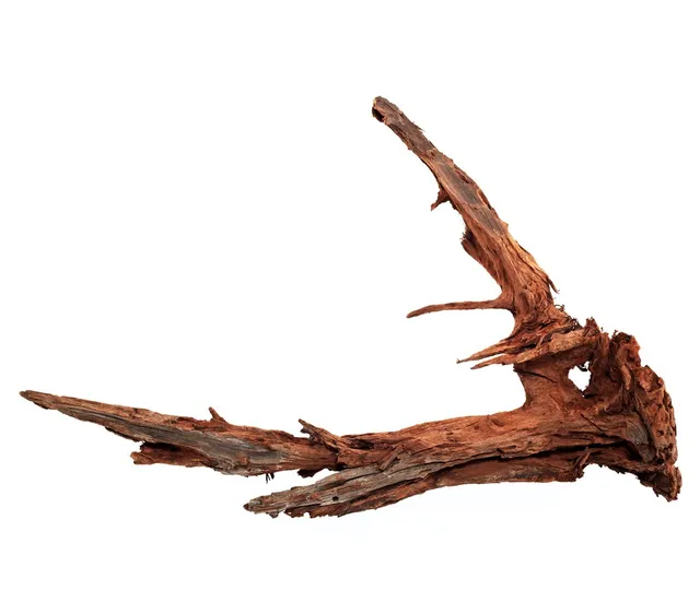 Dehner Aqua Mangrovenwurzel Extra Large Aquariendeko 80-90 cm