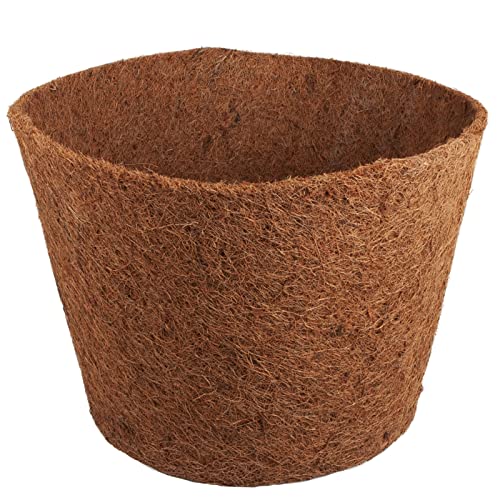Dehner Winterschutz Topf Kokos Übertopf Ø 35 cm braun frostfest