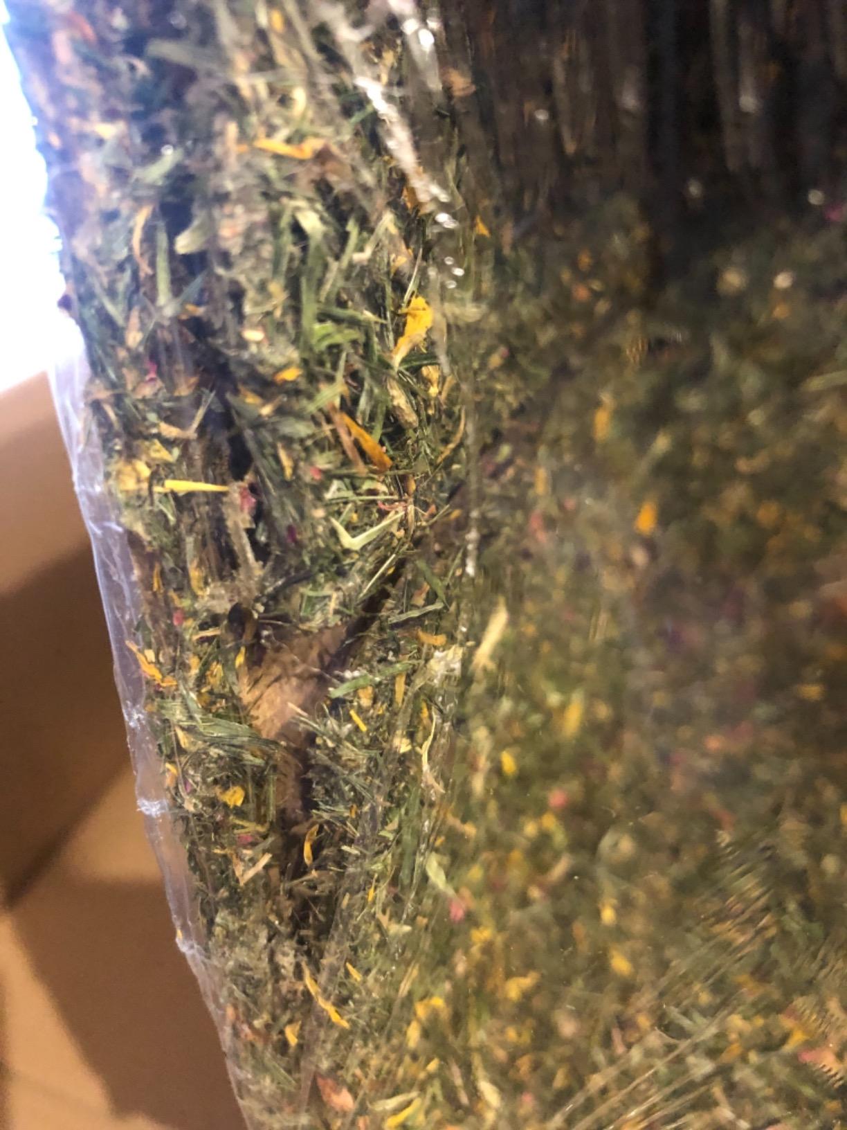 Dehner Premium Lovely Blüten-Heuhaus 300g Nager Snack