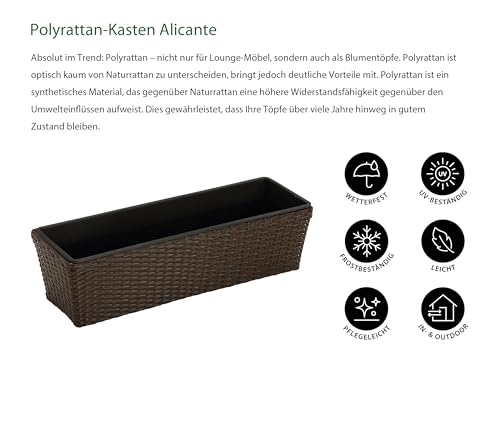 Dehner Blumenkasten Polyrattan 49x16cm braun mit Einsatz