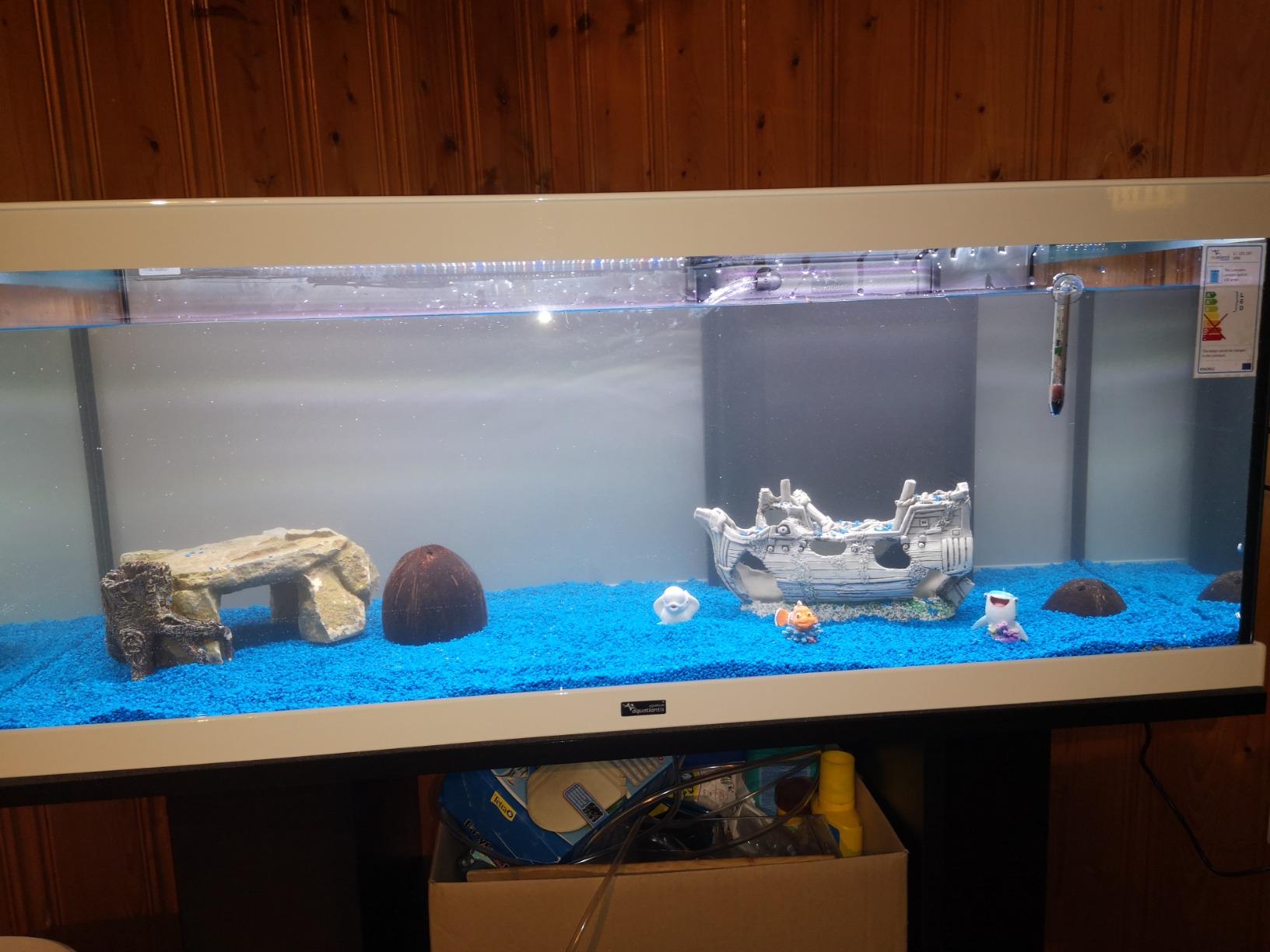 Dehner Aqua Aquarienkies 2-4mm 5kg enzianblau