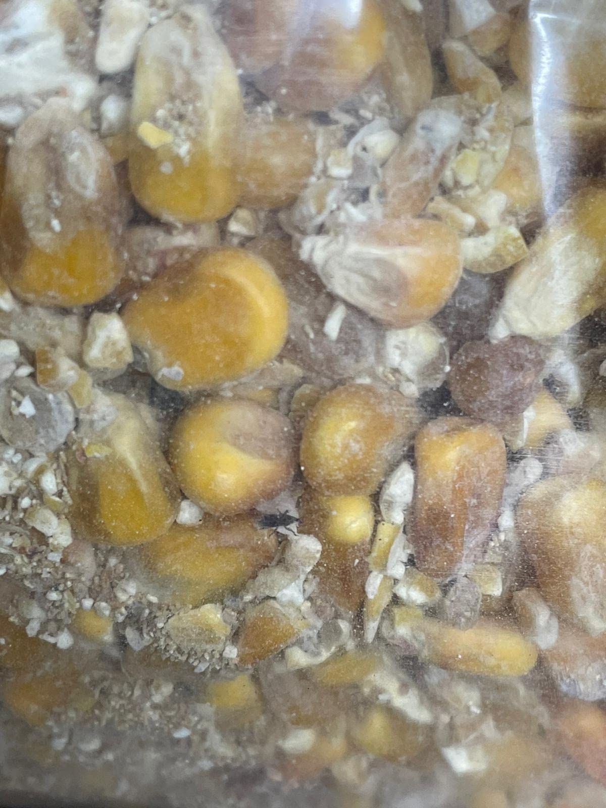 Dehner Körnermais Hühnerfutter Vögel Nager 10 kg