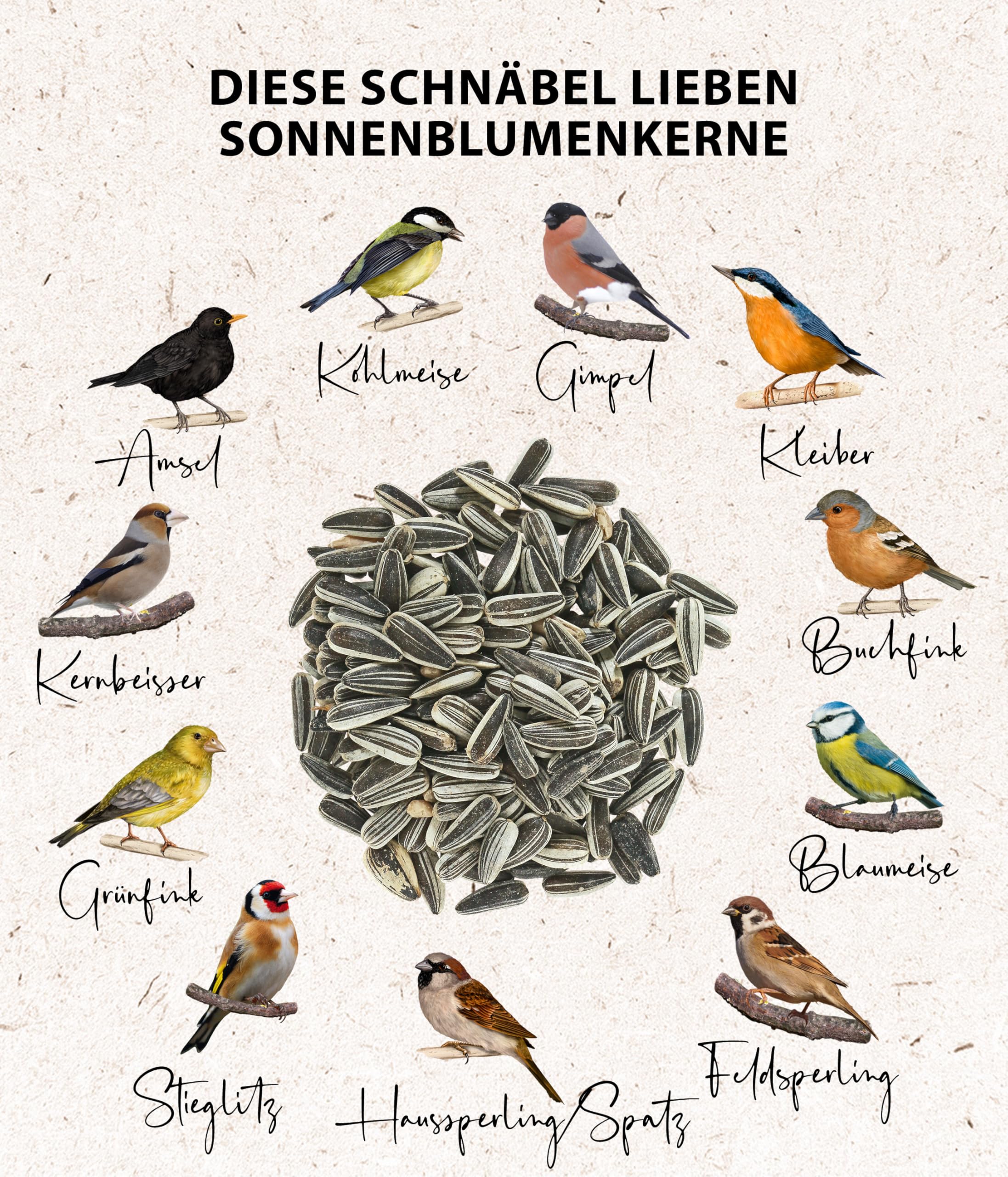Dehner Natura Premium Sonnenblumenkerne Wildvogelfutter 2,2 kg