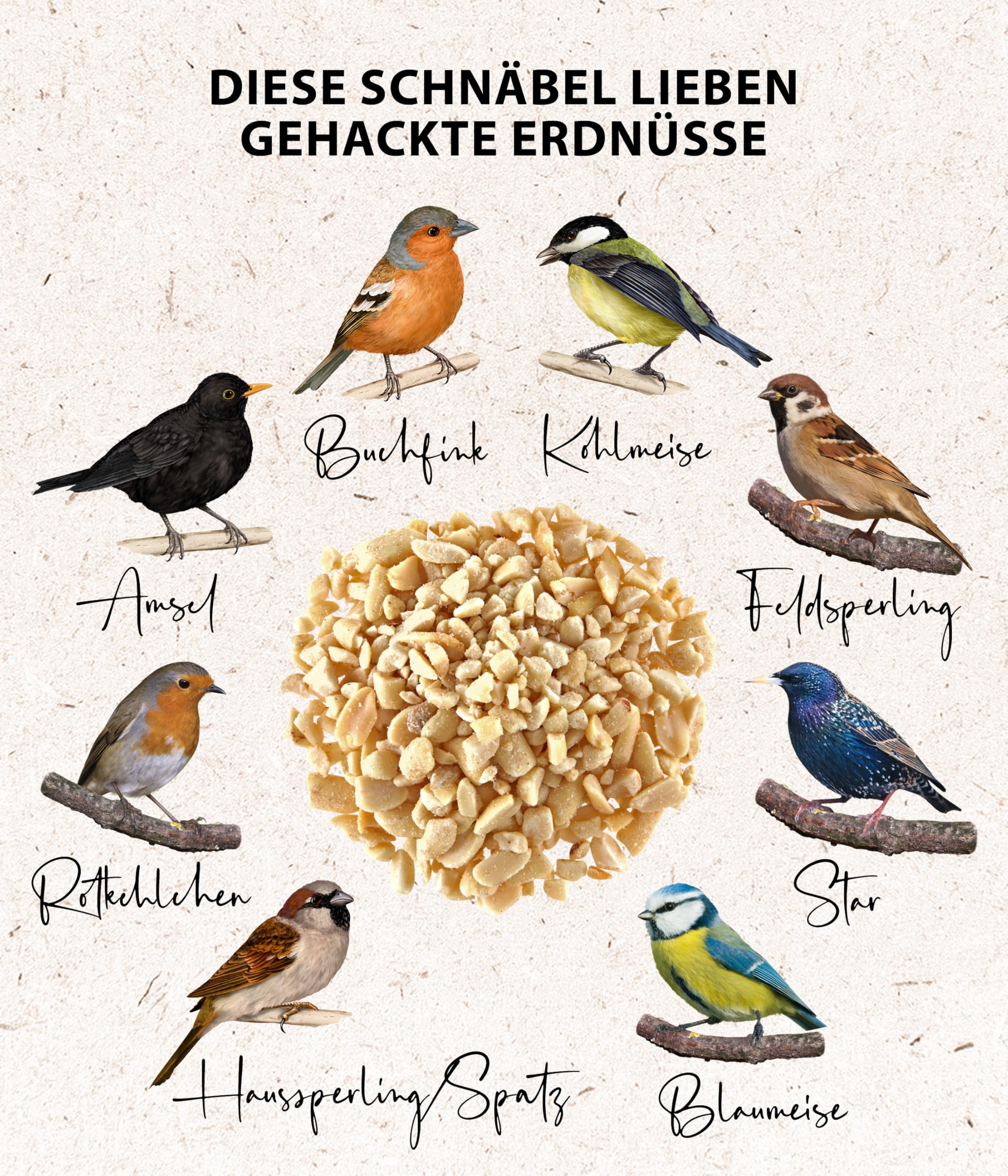 Dehner Natura Premium Wildvogelfutter Erdnüsse 3,4 kg schalenfrei