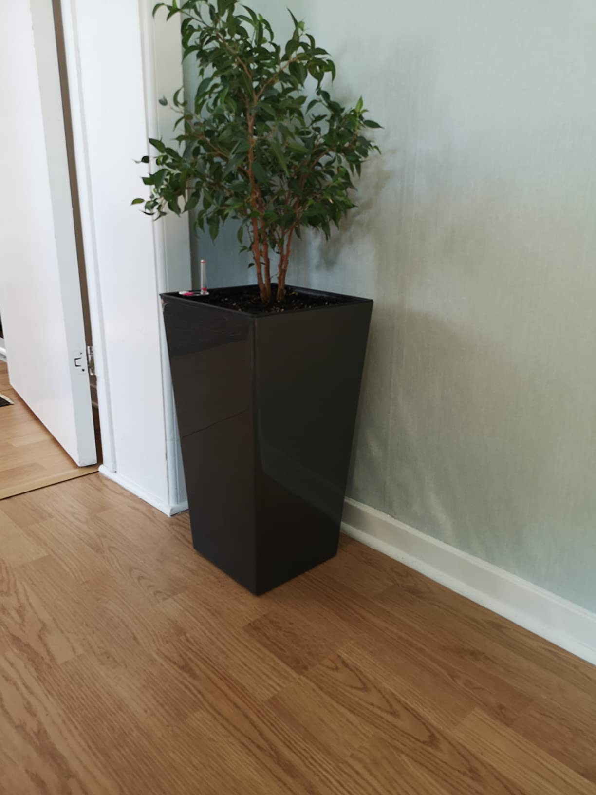 Dehner Elise Kunststofftopf weiß 47x25cm selbstbewässernd