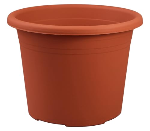 Dehner Cylindro Blumentopf terrakotta Ø 50 cm frostbeständig