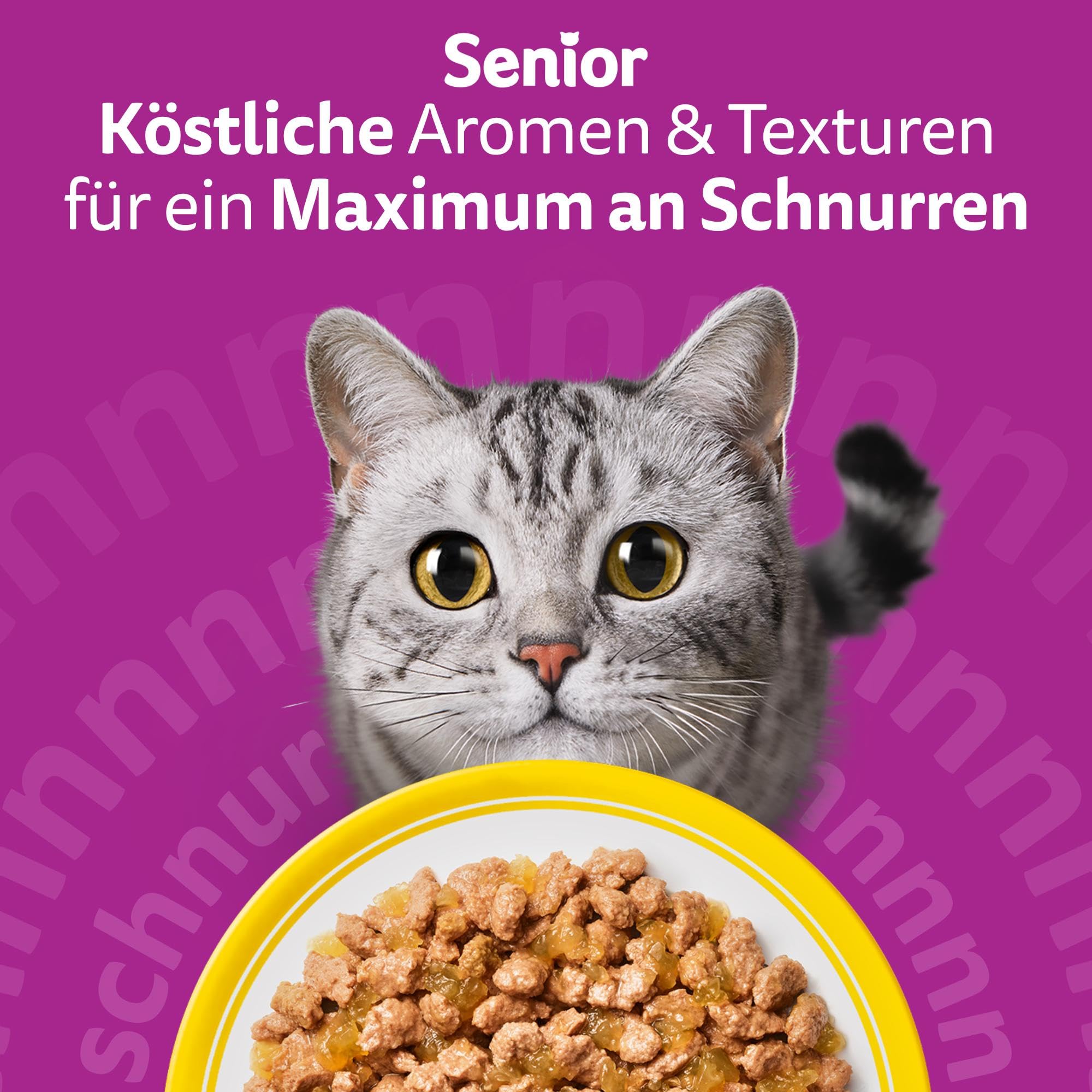Whiskas Senior 11+ Katzenfutter Huhn 4kg mit Taurin
