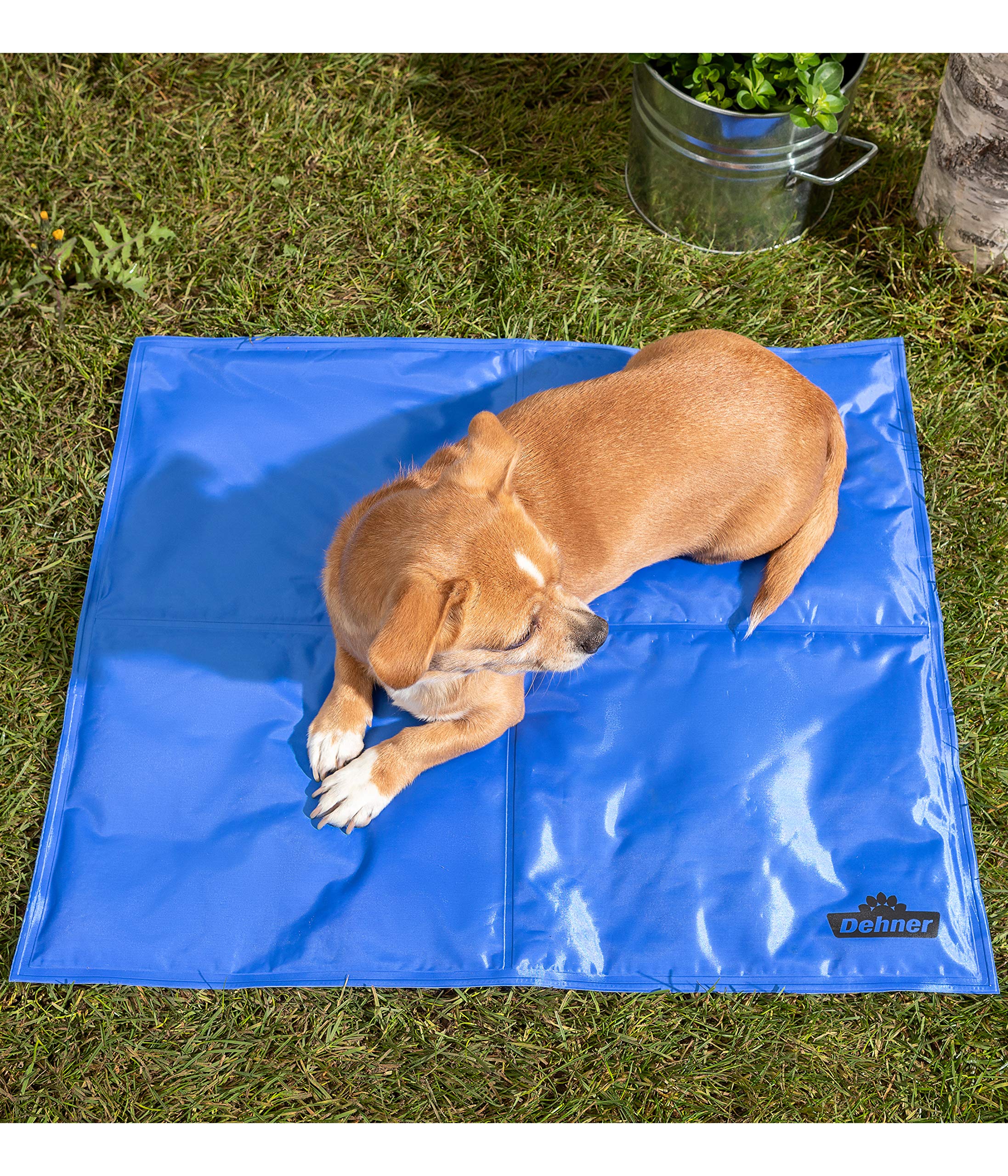 Dehner Refresh Hunde-Kühlmatte 60x50 blau selbstkühlend