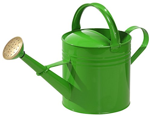 Dehner Premium Lovely Gießkanne nostalgisch Zink 5l grün