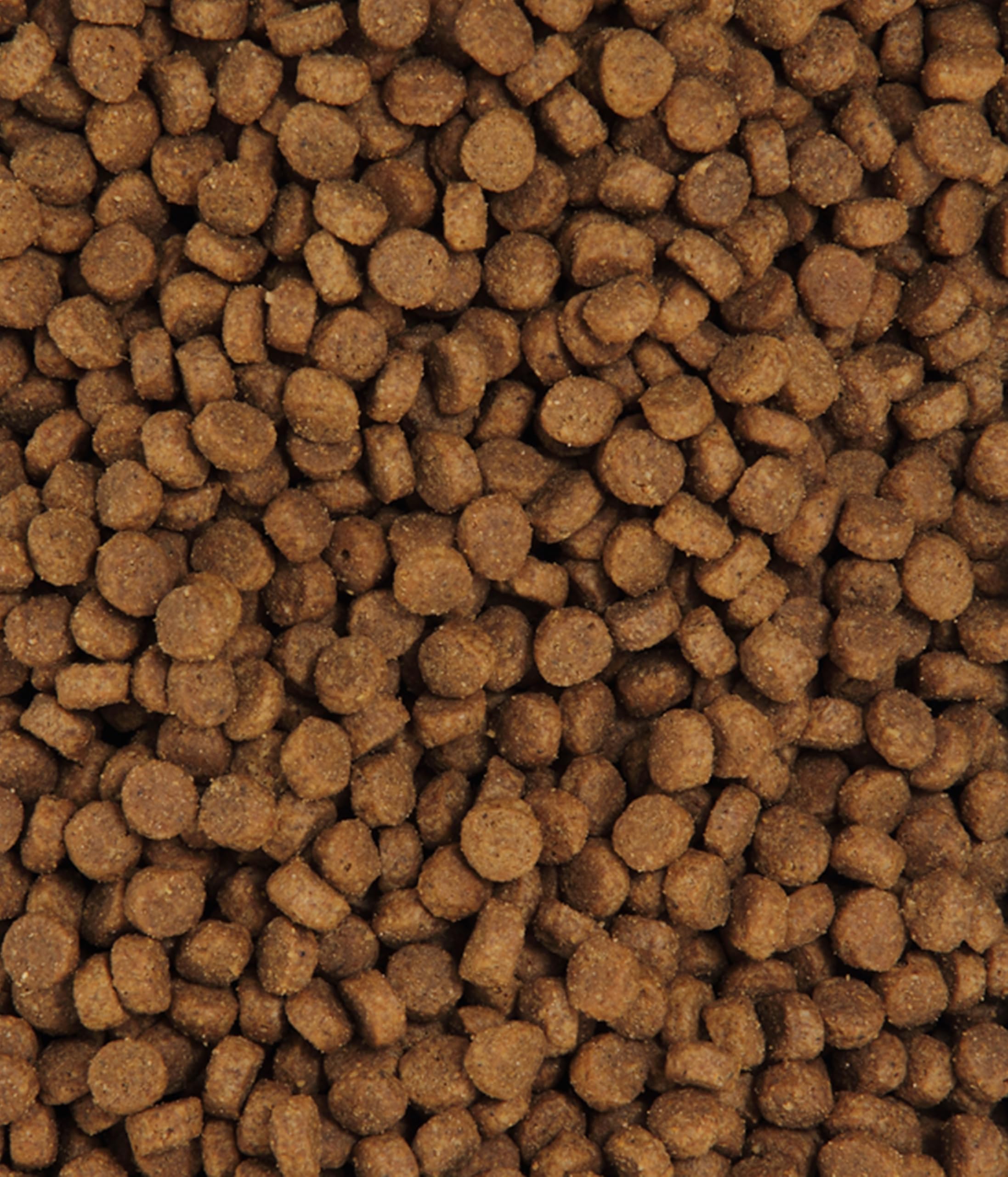 Dehner Premium Lovely Adult Forelle Trockenfutter 2 kg getreidefrei