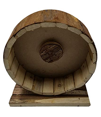 Dehner Holzlaufrad Shift Nagerlaufrad 29x14x31 cm
