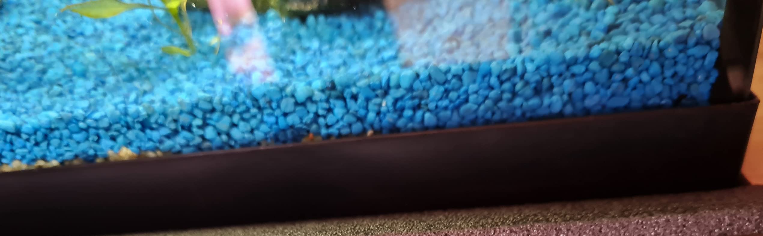 Dehner Aqua Aquarienkies 2-4mm 5kg enzianblau