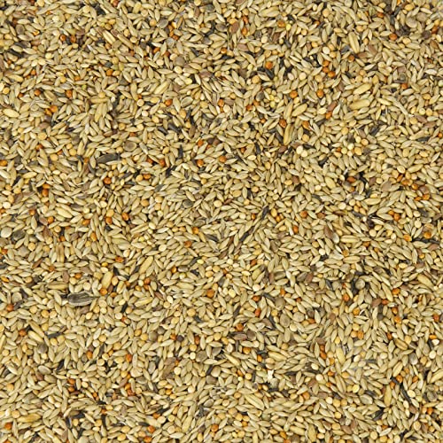Mr. Crumble Kanarien-Fit Kanarienfutter 2,5kg ohne Rübsen