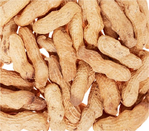 Dehner Natura Wildvogelfutter Erdnüsse mit Schale 2x500 g