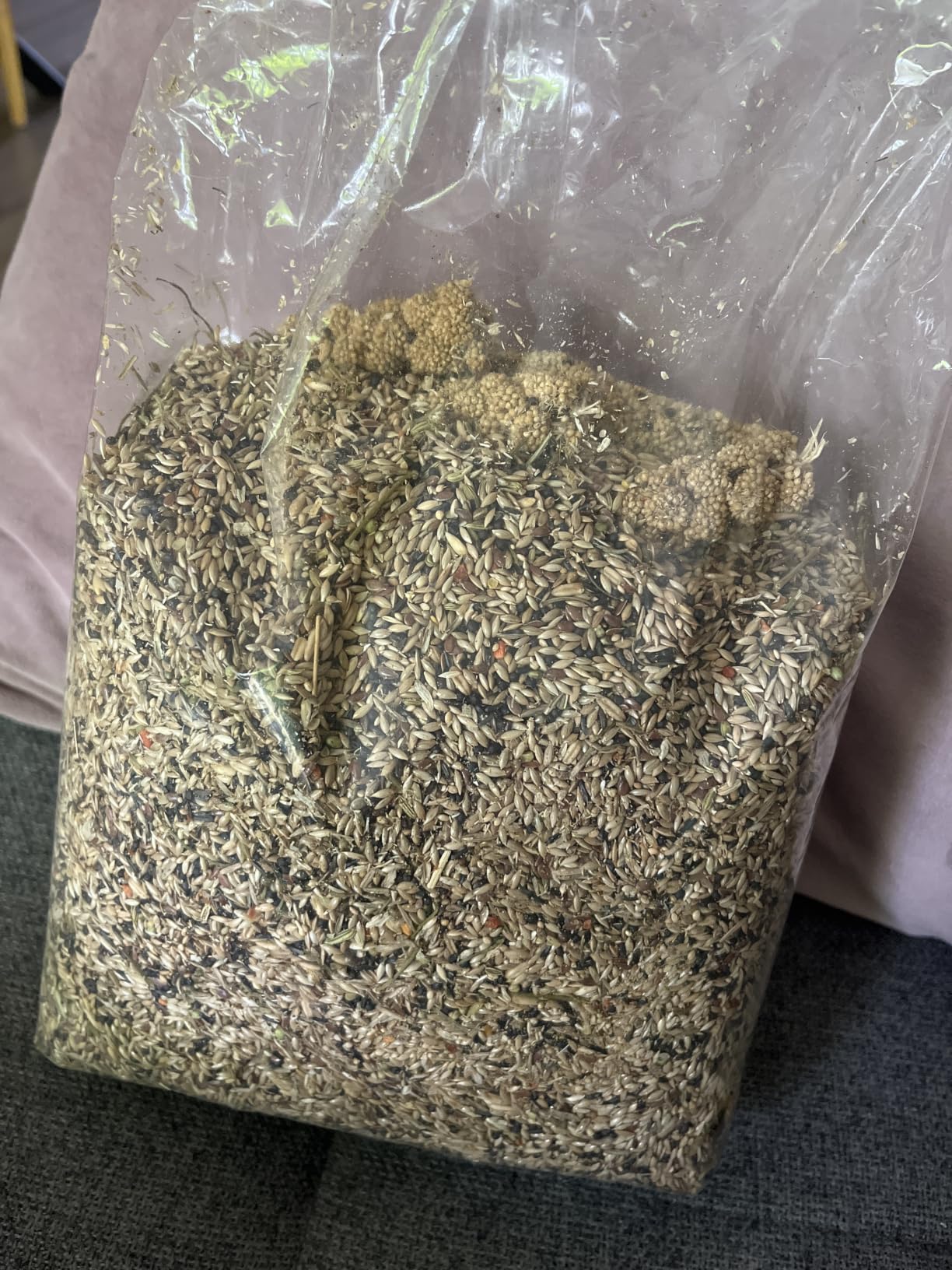 Dehner Best Nature Vogelfutter Kanarienfutter 2,5 kg Saaten