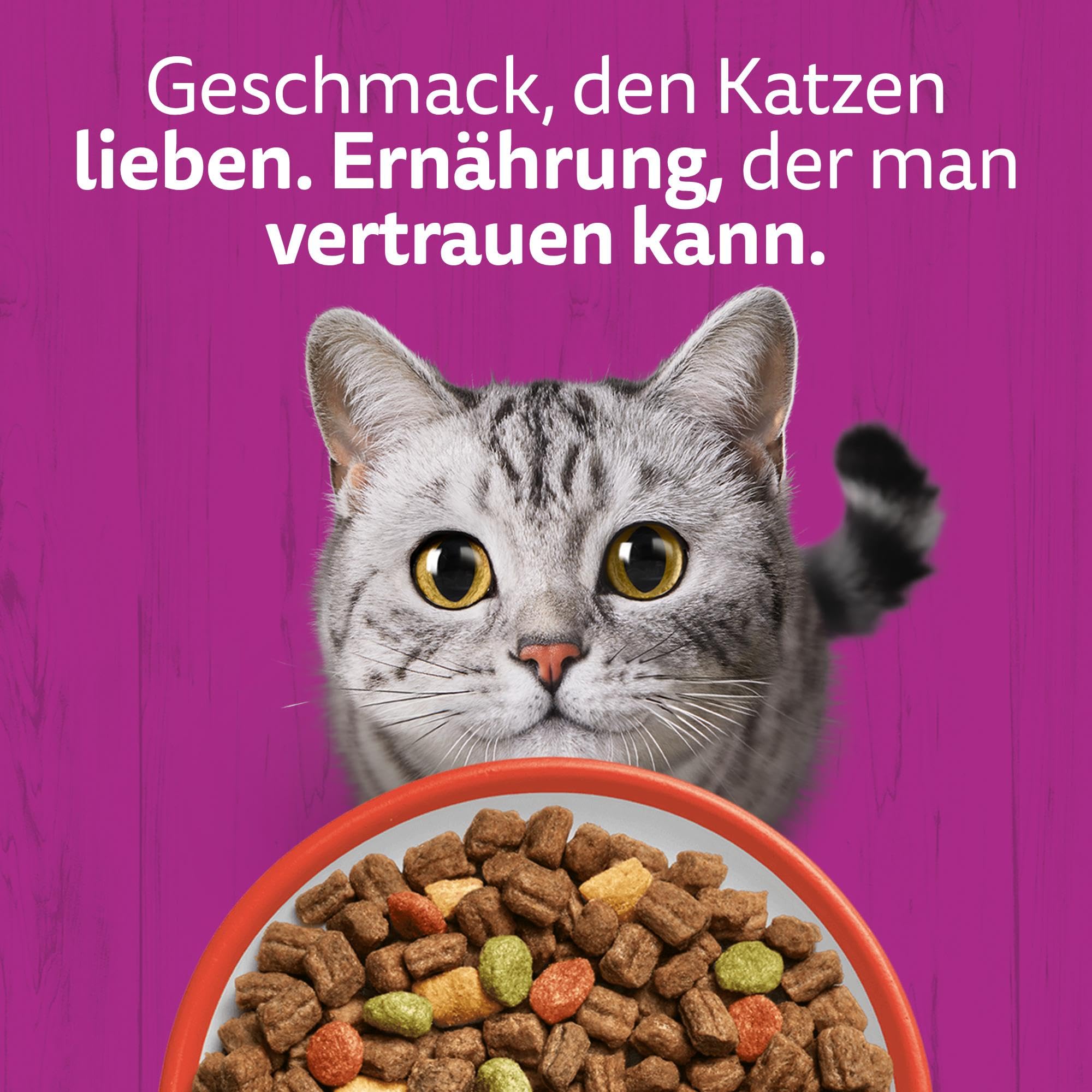 Whiskas mit Rind Trockenfutter 5x800 g Adult