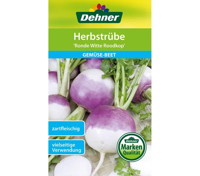Dehner Herbstrübe Ronde Witte Roodkop Saatgut 7g zart