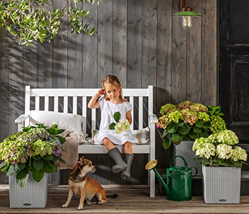 Dehner Mykonos Gartenbank Akazie weiß 2-Sitzer 120cm