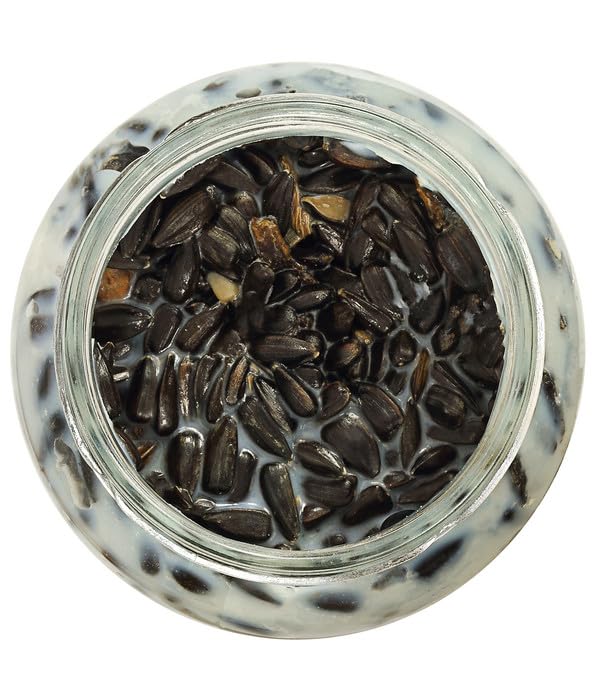 Dehner Natura Wildvogelfutter Rindertalg 8x250g zuckerfrei
