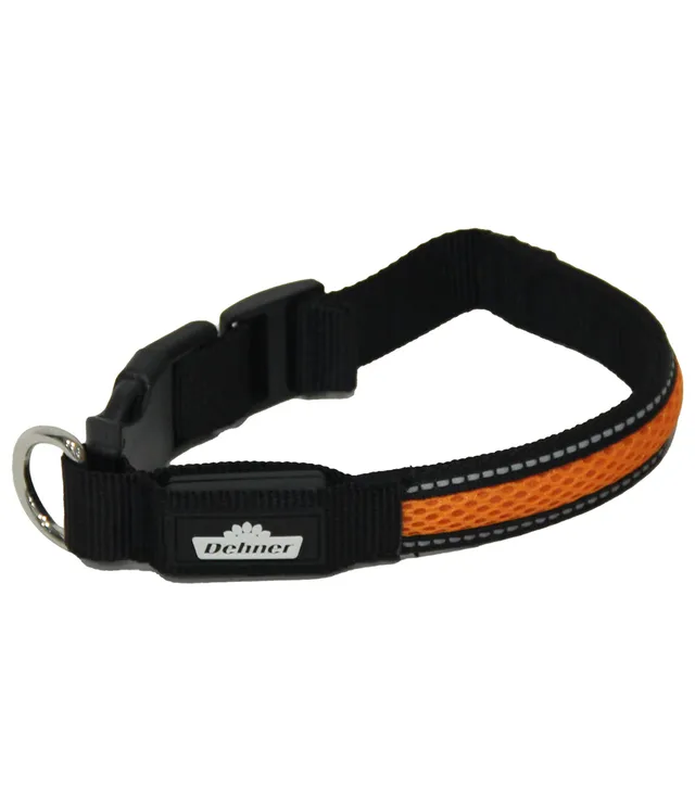 Dehner Flash Collar LED-Hundehalsband orange M USB aufladbar