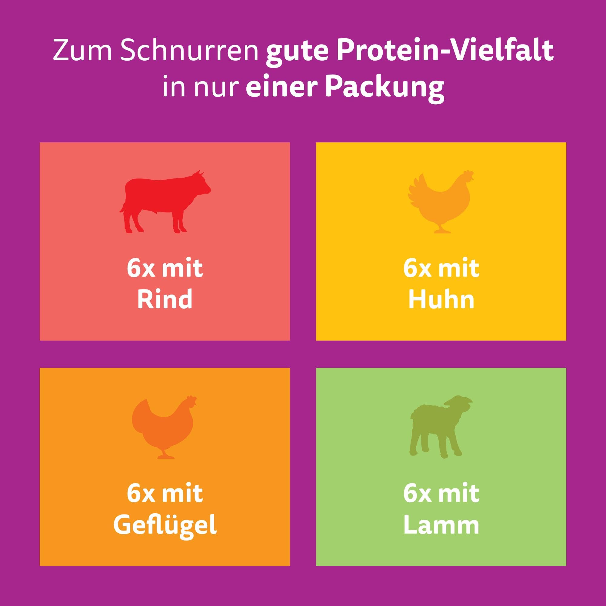 Whiskas Pure Delight Nassfutter Ragout 48x85g Gelee