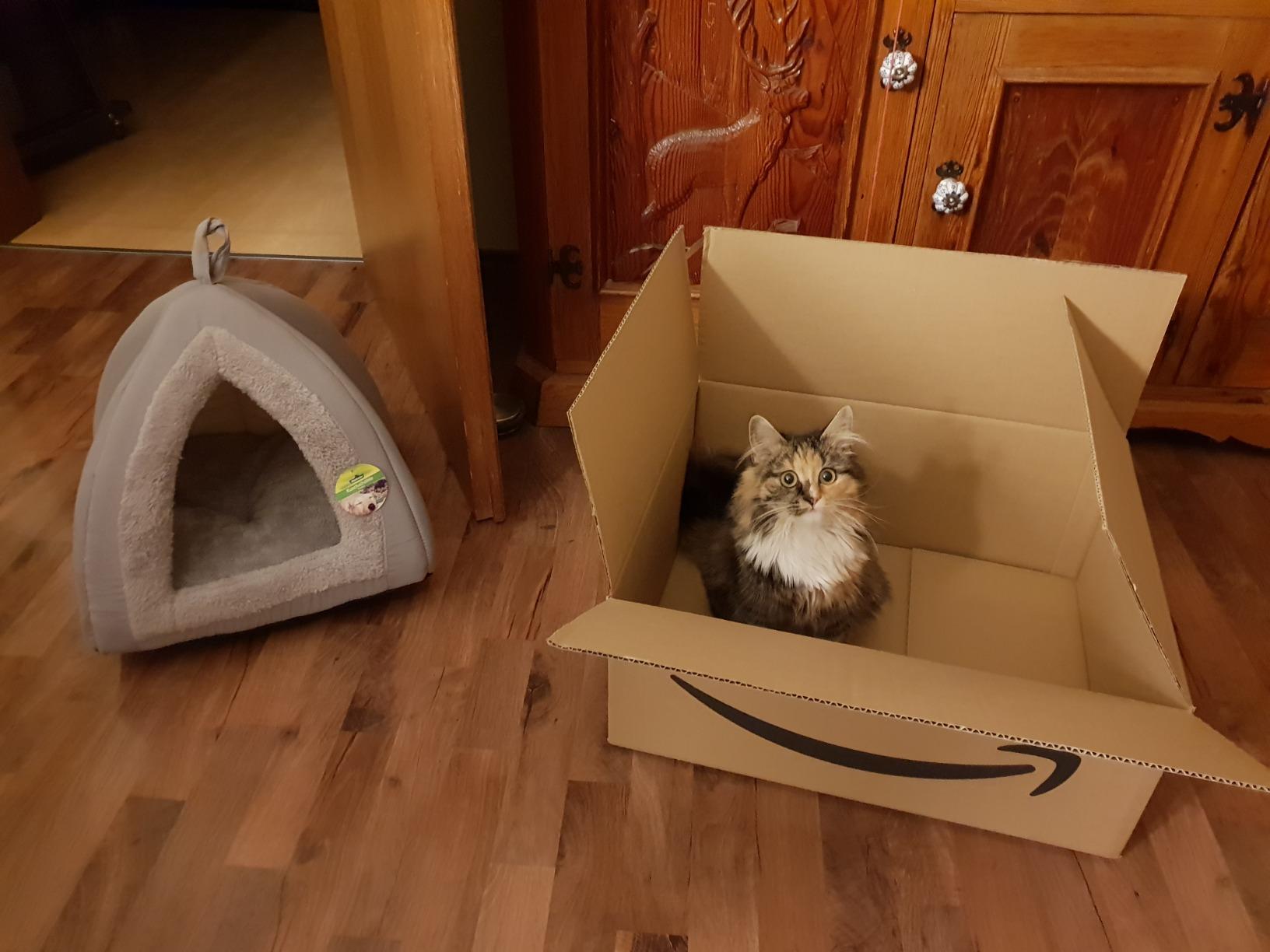 Dehner Lieblinge Findus Katzen Kuschelhöhle Grau 40x40x35