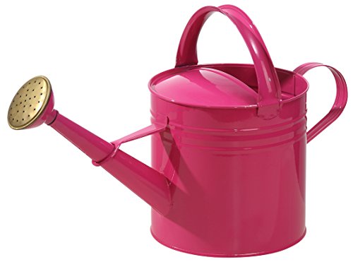 Dehner Premium Lovely nostalgisch Gießkanne 5 l pink Zink