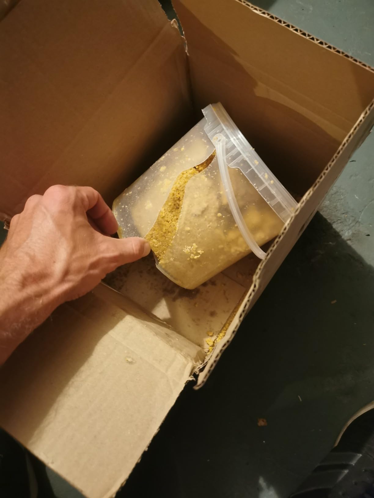 Dehner Natura Premium Erdnuss-Aufstrich Wildvogelfutter 2 kg energiereich