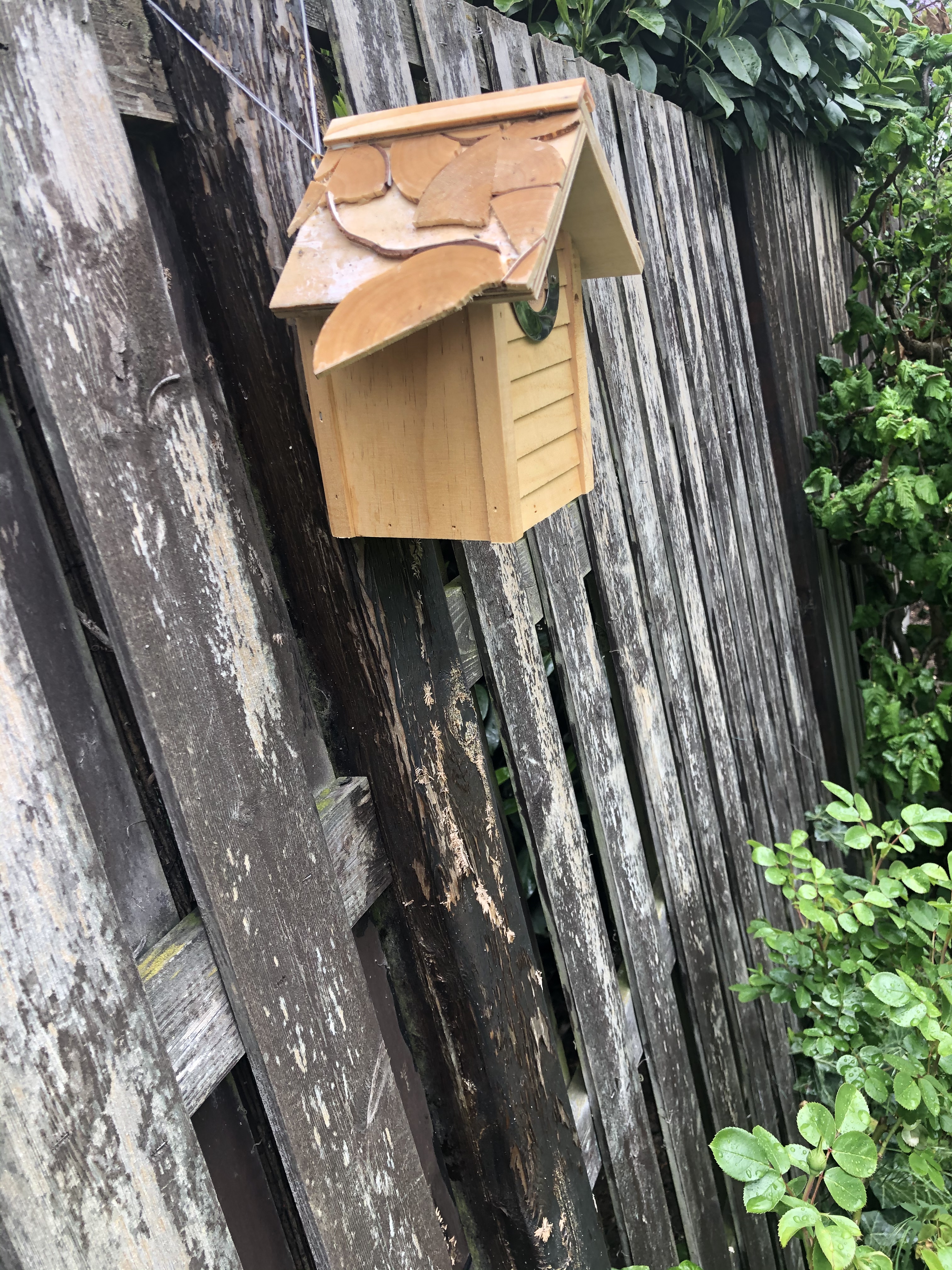 Dehner Natura Aruba Nistkasten 32mm Kiefernholz