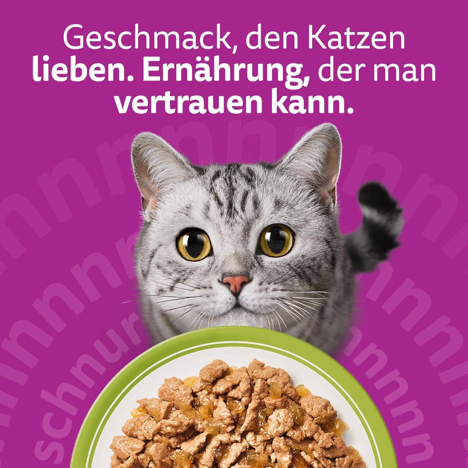 Whiskas Adult 1+ Gemischte Auswahl Nassfutter 84x85g Gelee