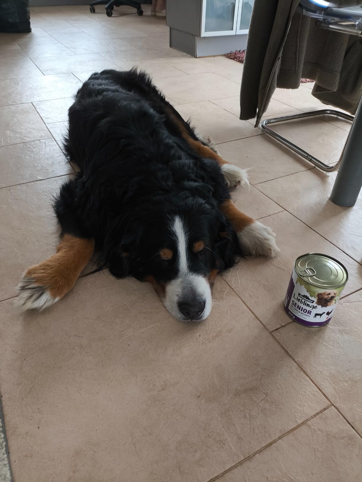 Dehner Lieblinge Senior Lamm Nassfutter Hund 6x800g