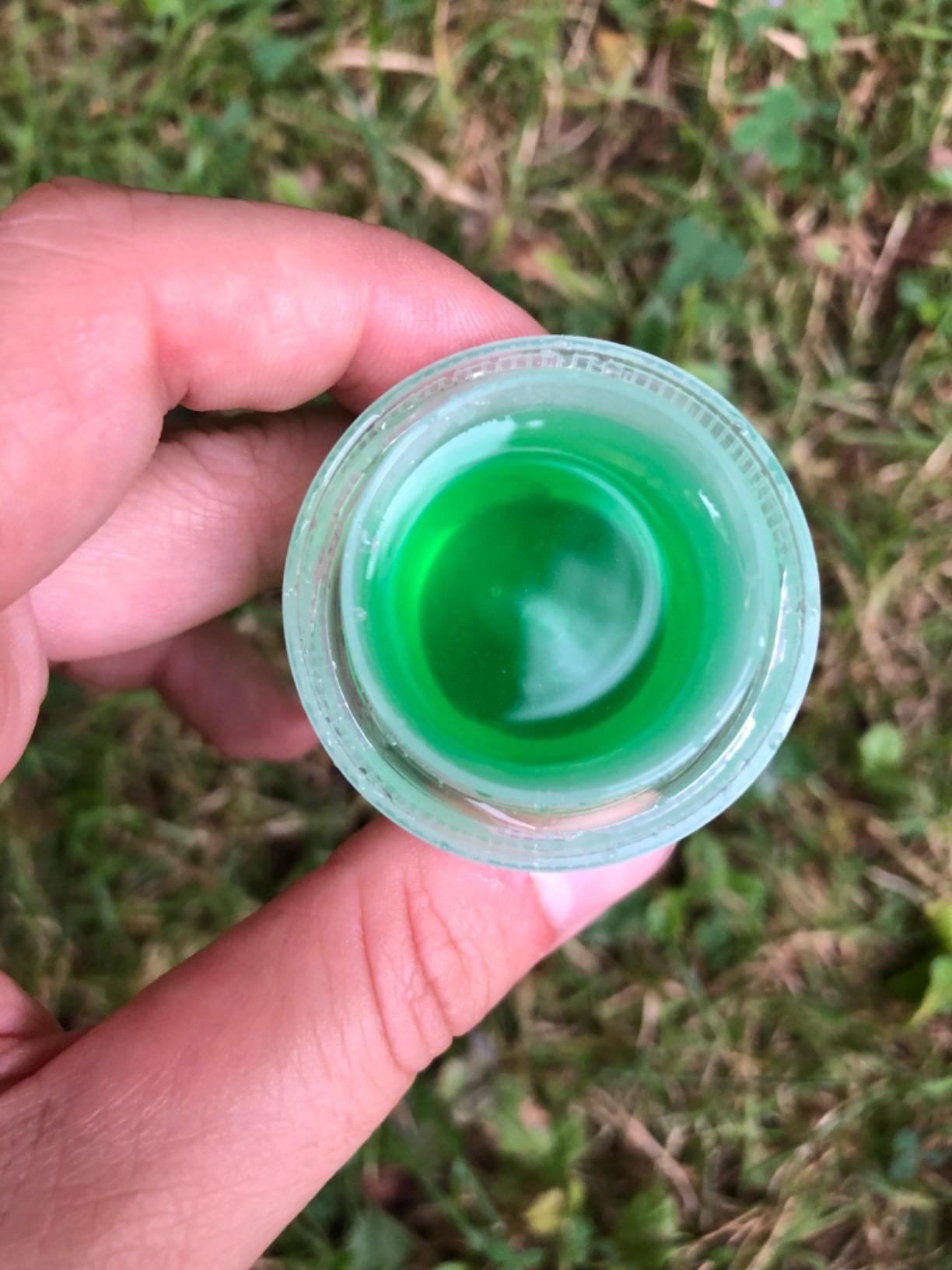 Dehner Blumendünger flüssig Guano 3l