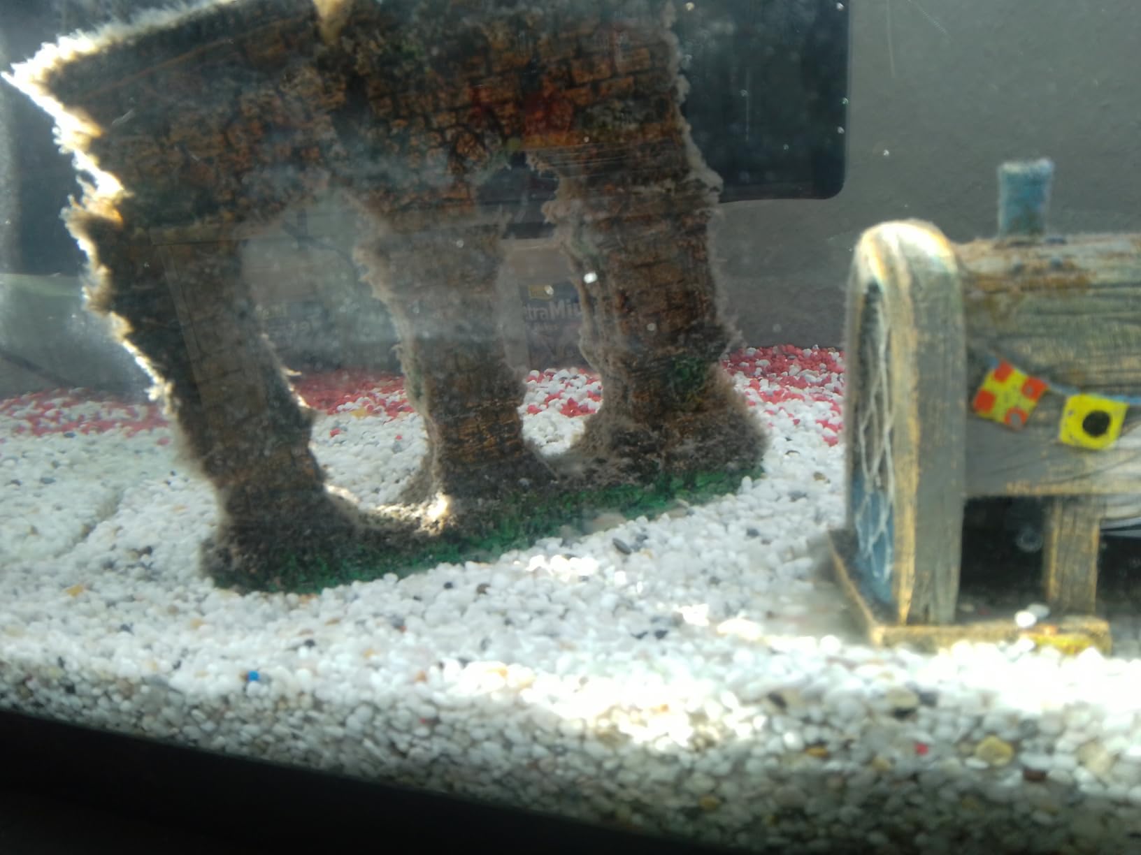 Dehner Aqua Aquarienkies Bodengrund 5kg weiß 2-4mm