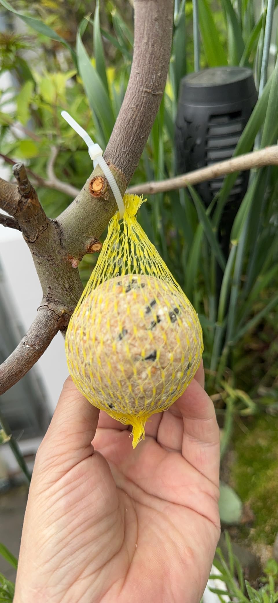 Dehner Natura Premium Meisenknödel Netz 30x90g Karton