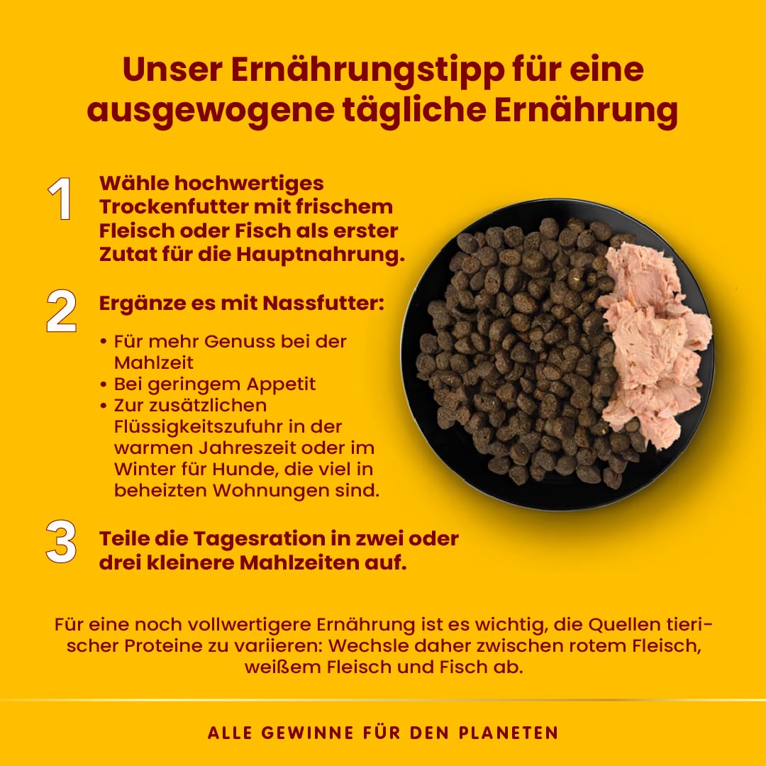 Almo Nature HFC Natural Nassfutter Wildschwein 95g 24er