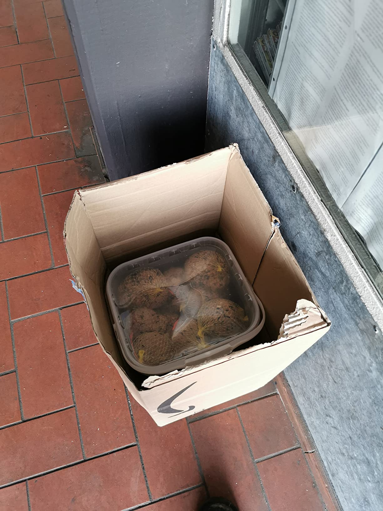 Dehner Natura Riesen-Meisenknödel mit Netz 21x250g XXL