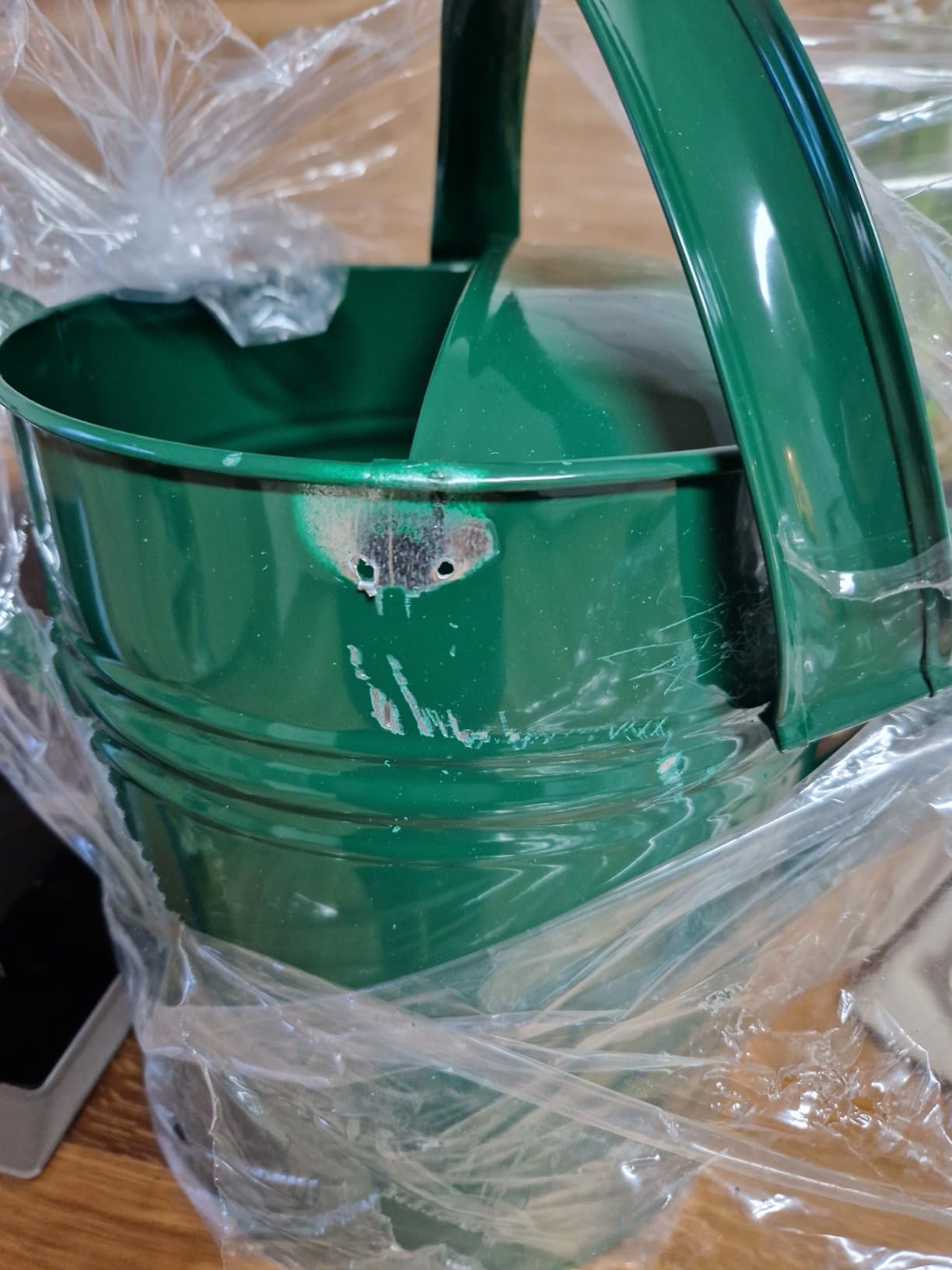 Dehner Gießkanne nostalgisch Zink grün 9l Messingbrause