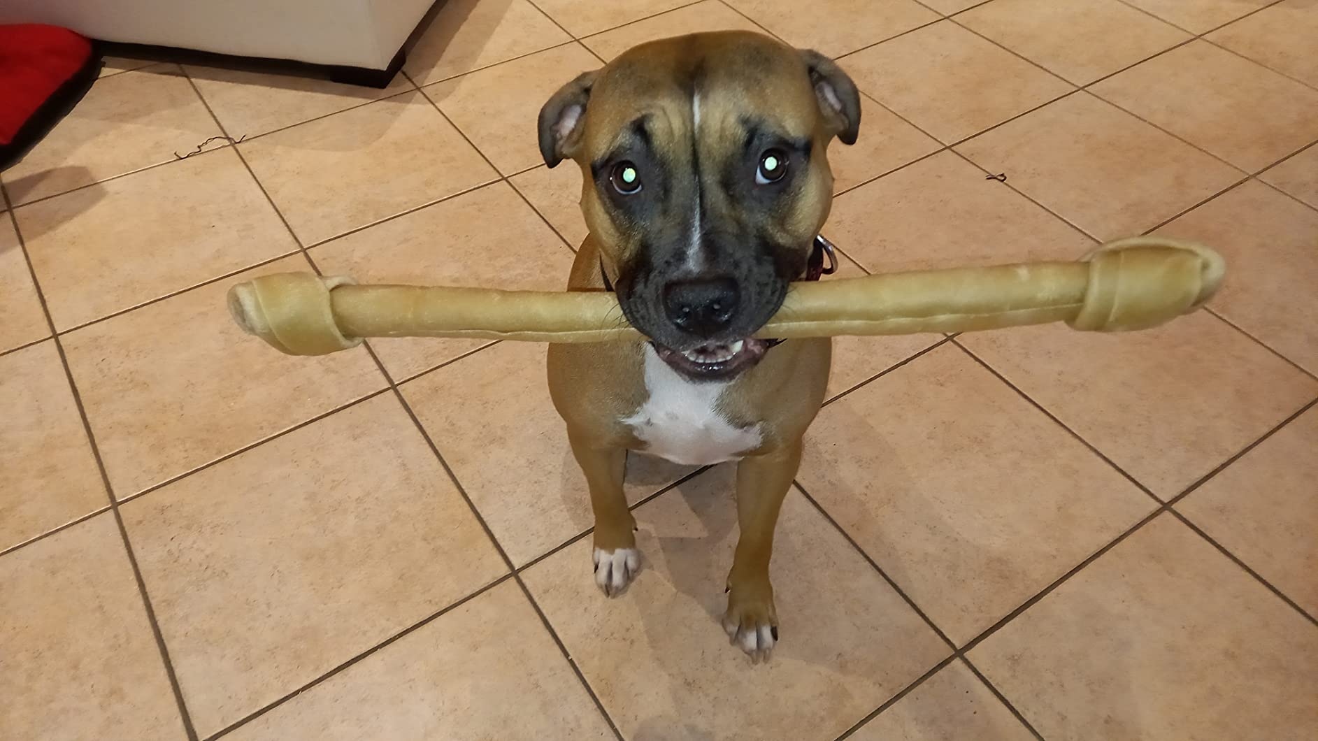 Dehner Lieblinge Hundesnack Riesenkauknochen 300g