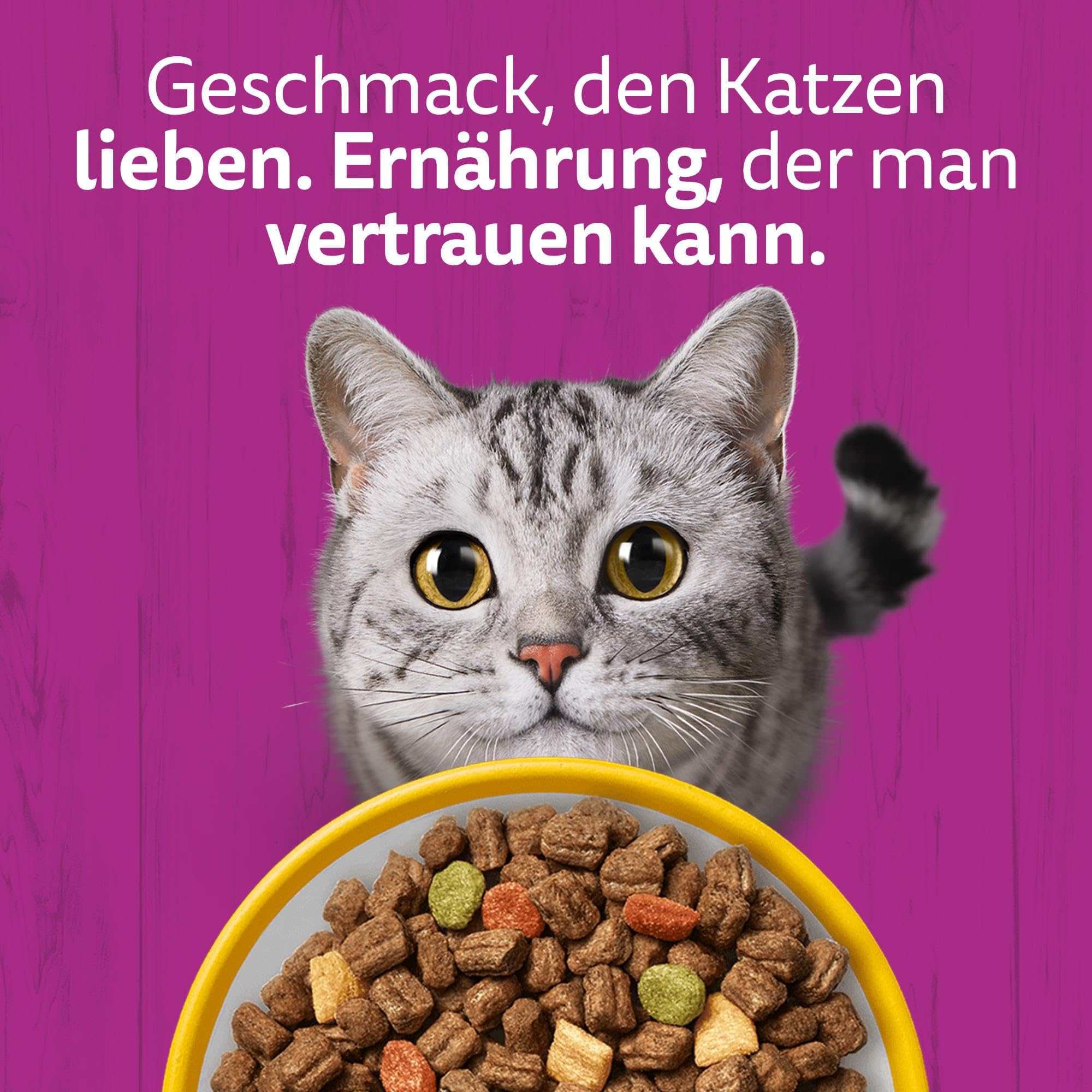 Whiskas Classic Trockenfutter Huhn 3,8kg knusprig