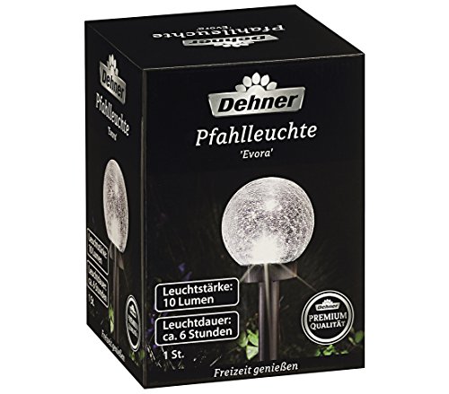 Dehner Premium Evora Solarleuchte 47,5 cm Krakelee