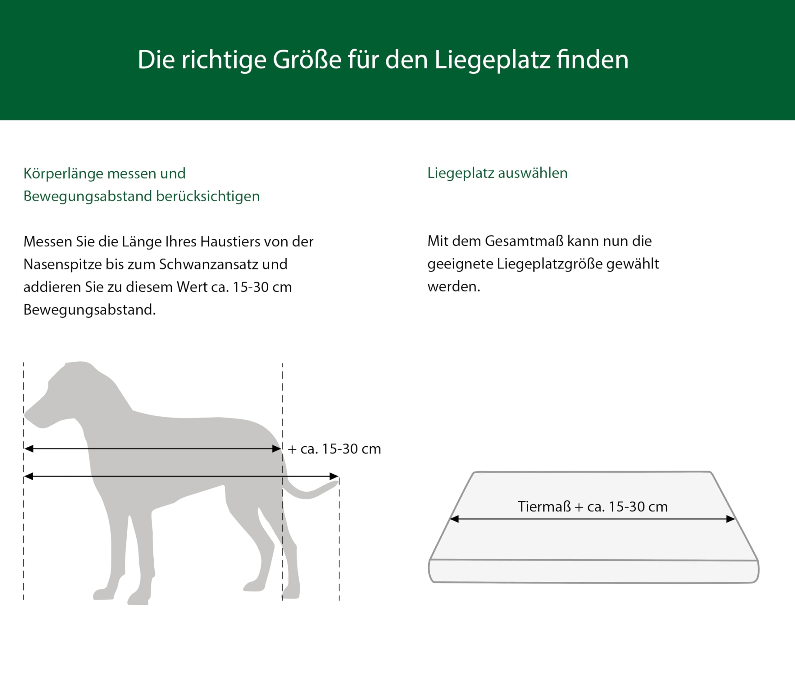 Dehner Lieblinge Massage-Bürste Bambus Fellbürste Grün